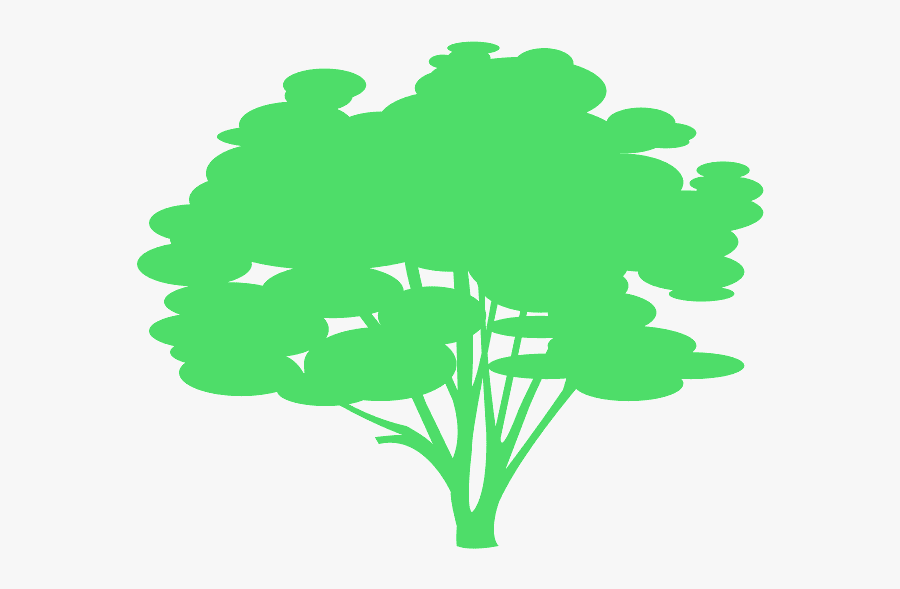 Pecan Tree Silhouette, Transparent Clipart