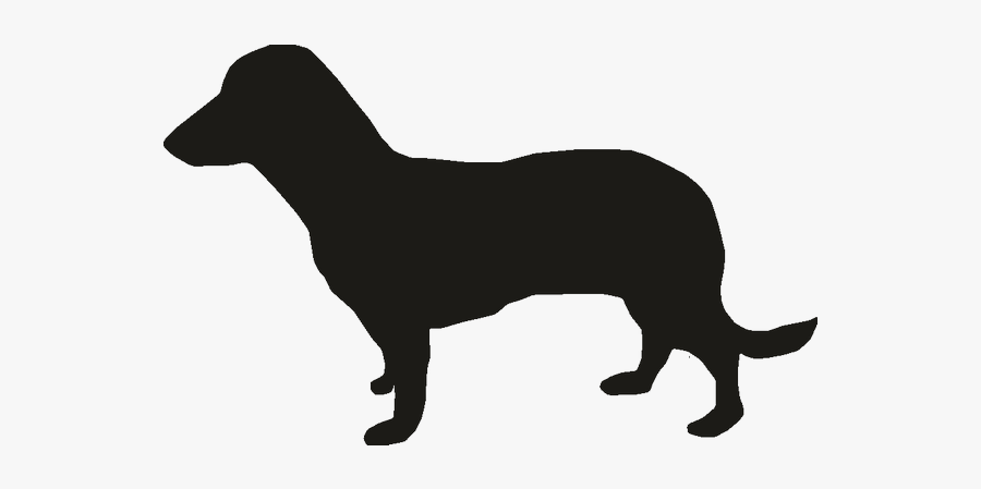Miniature Dachshund Puppy Vector Graphics Dog Breed - Dachshund, Transparent Clipart