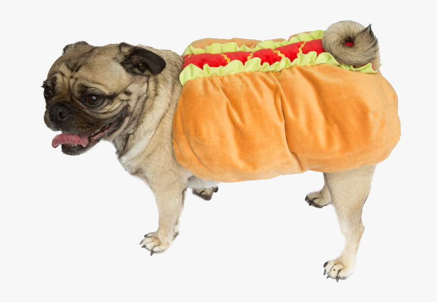 Wheres Waldo Halloween Costume X Weiner Dog Guy Ideas - Dog In Costume Png, Transparent Clipart