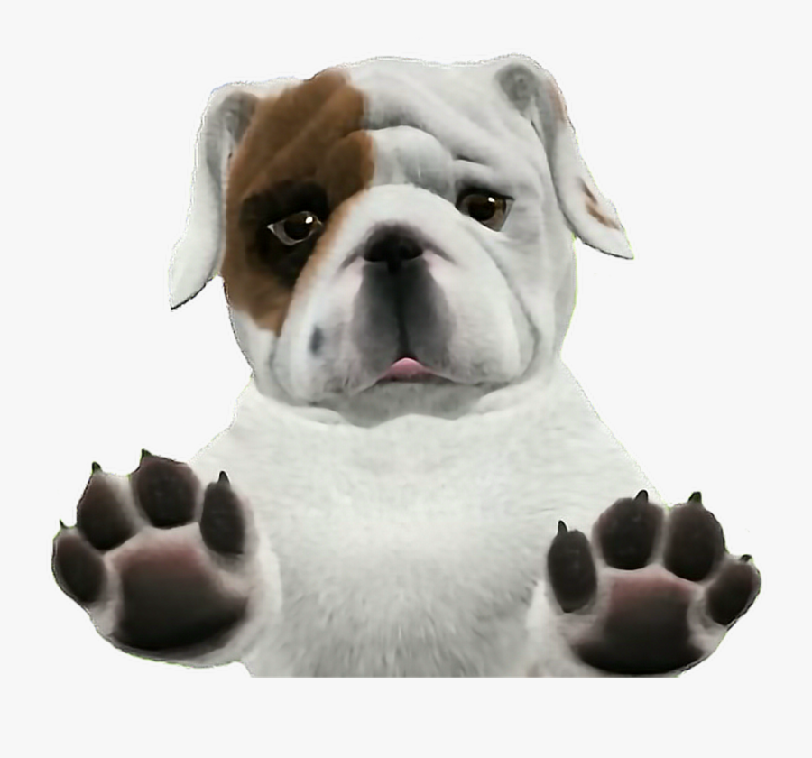 bulldog transparent background