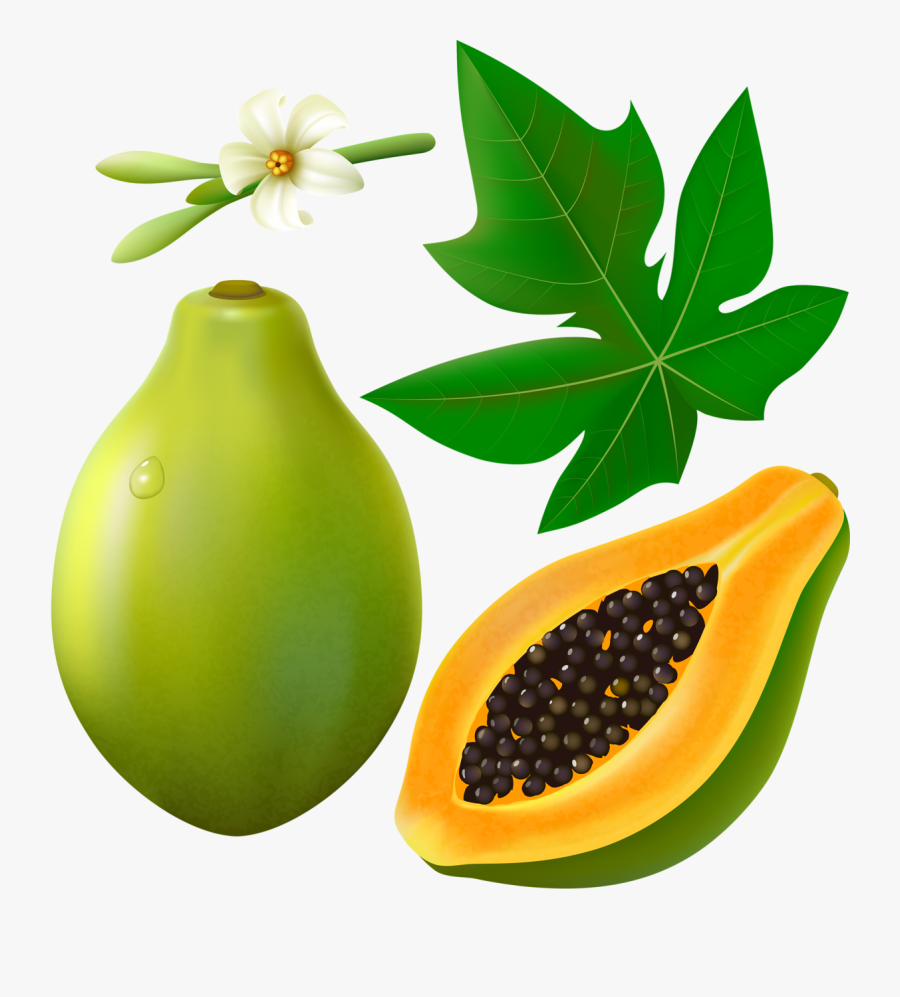 Фотки Green Papaya, Cartoon Stickers, Painted Wine - Papaya Leaf Clip Art, Transparent Clipart