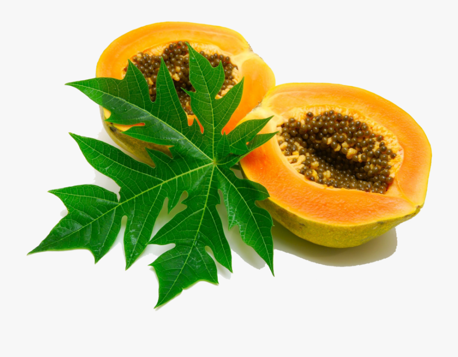 Download Papaya Png Image 361 - Papaya Fruit And Leaves, Transparent Clipart