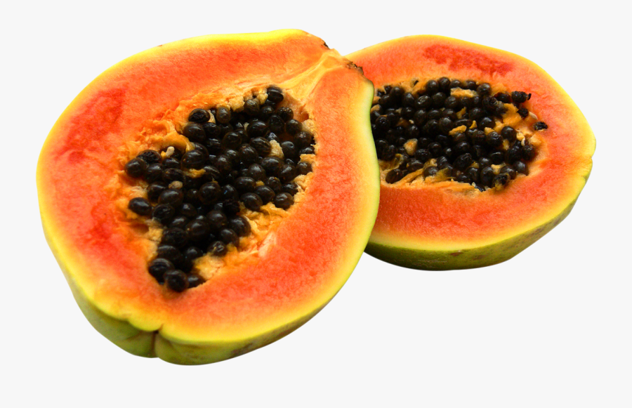 Clip Art Papaya Fruit Images - Characteristics Of Papaya Leaf, Transparent Clipart