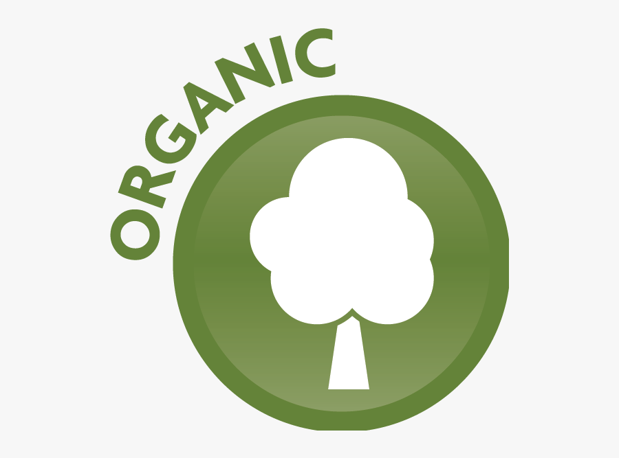 Coconut Clipart Green Papaya - Illustration, Transparent Clipart