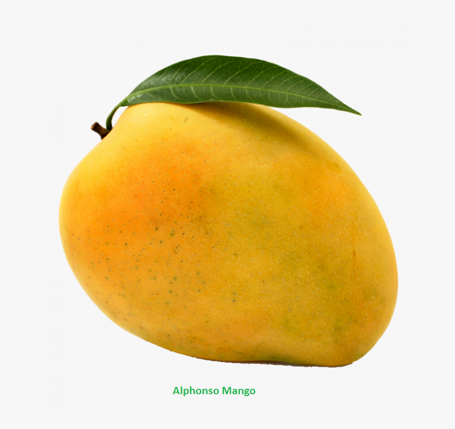 Mango Png, Transparent Clipart