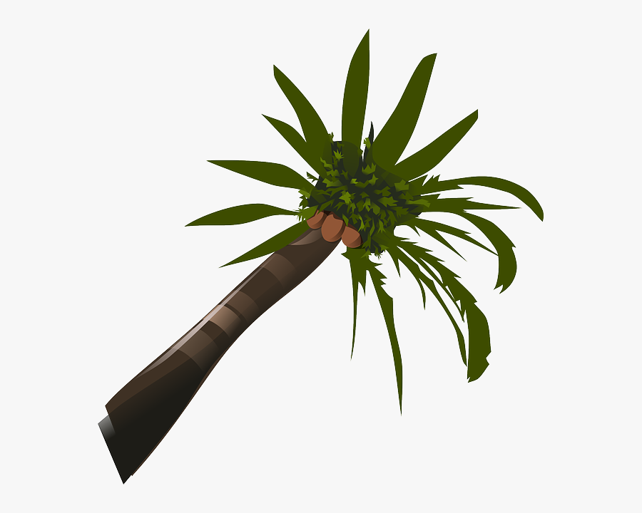 Brown, Green, Food, Palm, Tree, Cartoon, Trees, Plant - Coconut Tree Animated Gif, Transparent Clipart