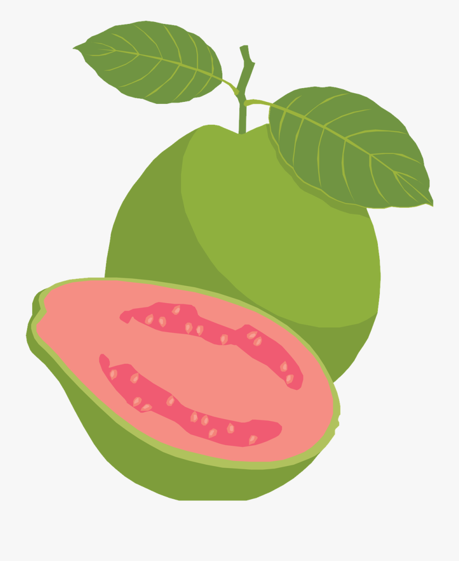 Guava Clipart Png - Guava Fruit Clipart Png, Transparent Clipart