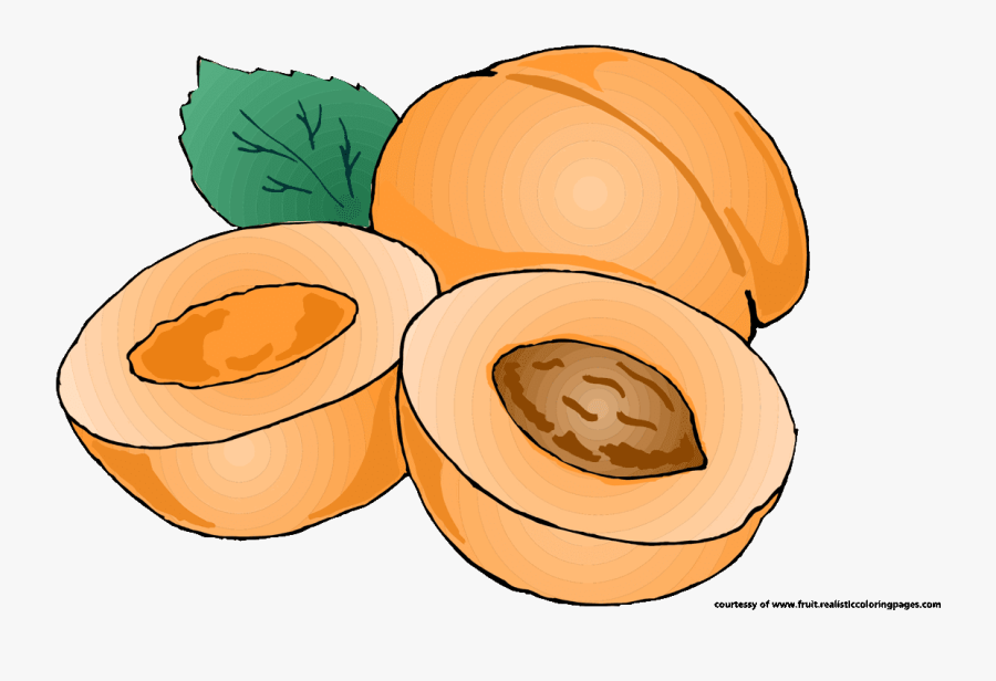 Apricot Clipart Free - Apricot Clipart, Transparent Clipart