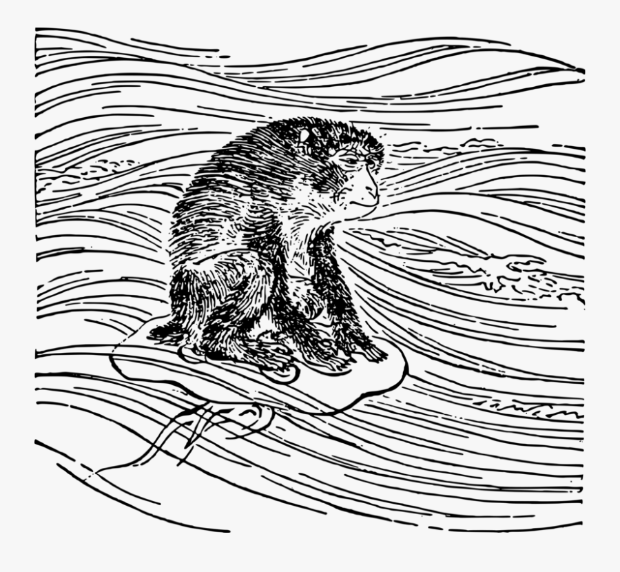 Art,monochrome Photography,carnivoran - Jellyfish And The Monkey, Transparent Clipart