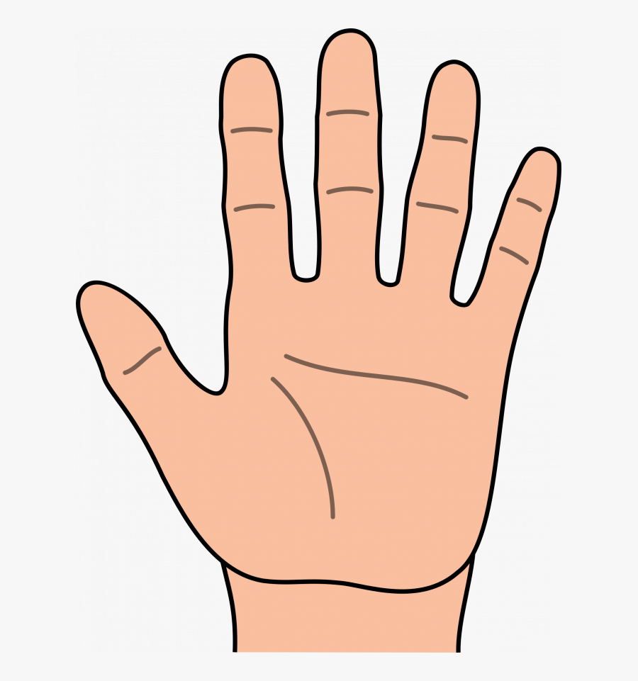 Hand Clipart, Transparent Clipart