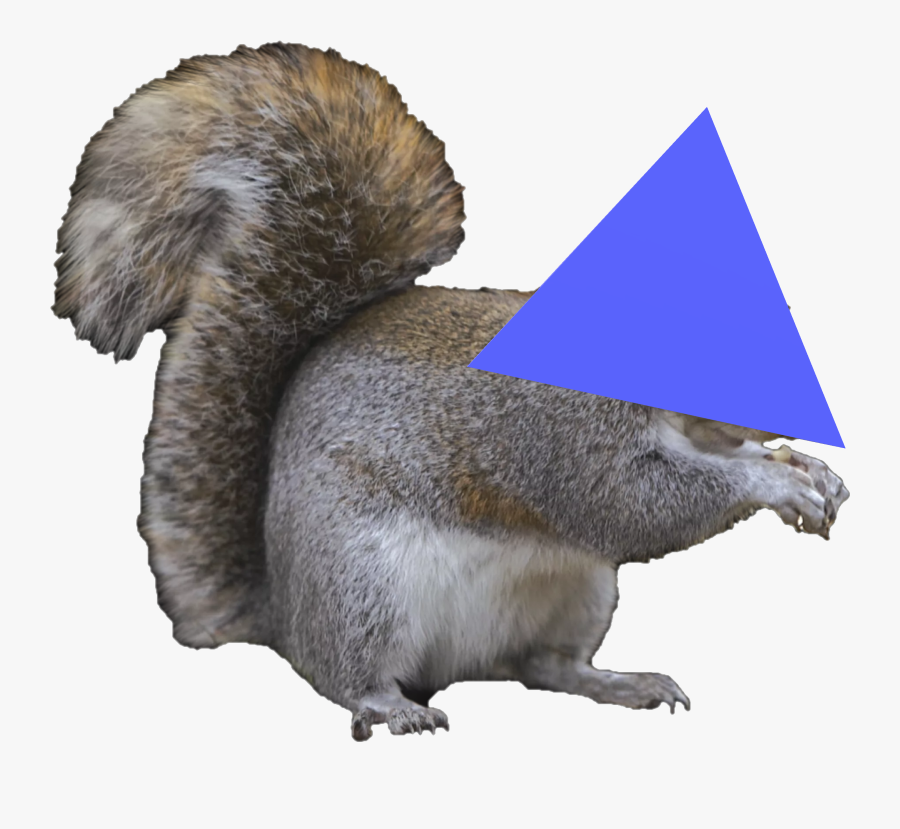 0 1528495601270 Untitled - Gray Squirrel Png, Transparent Clipart