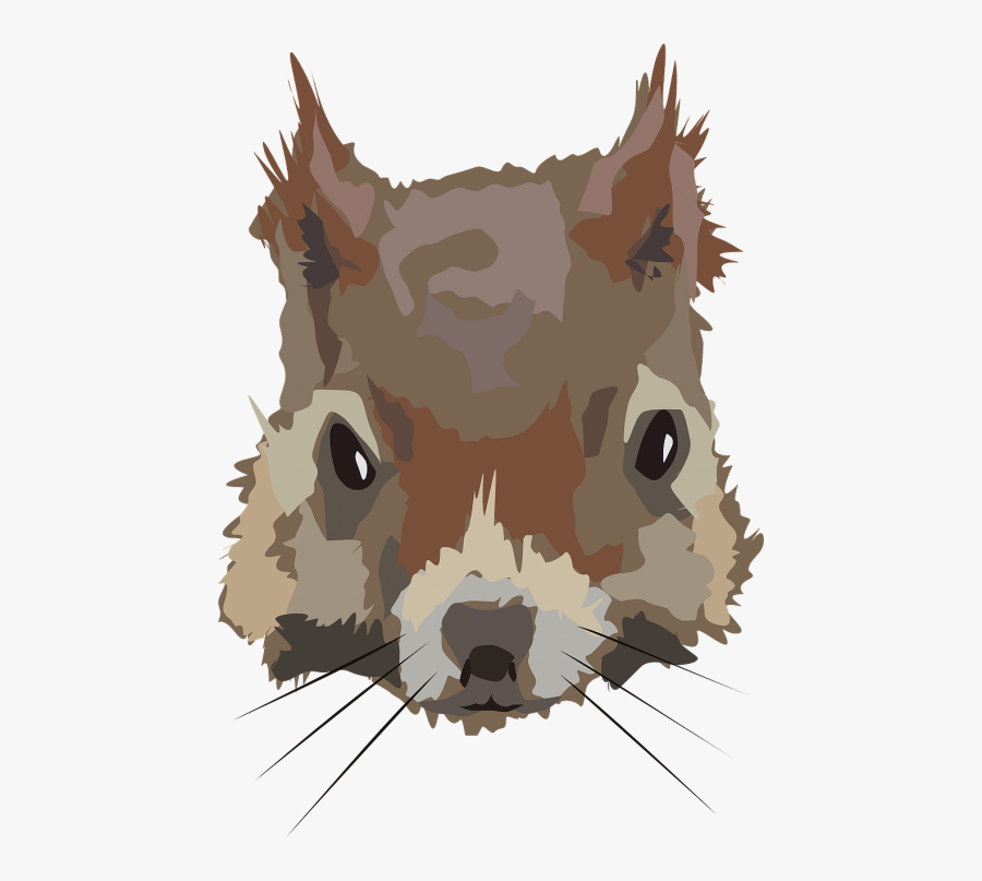 Squirrel Head Face - Squirrel Head Png, Transparent Clipart