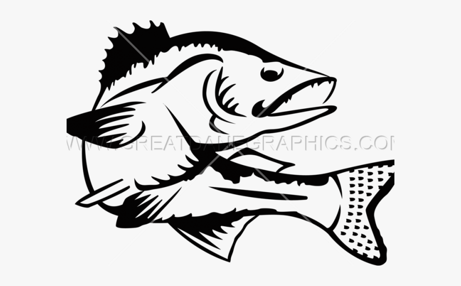 Black And White Walleye Clipart, Transparent Clipart