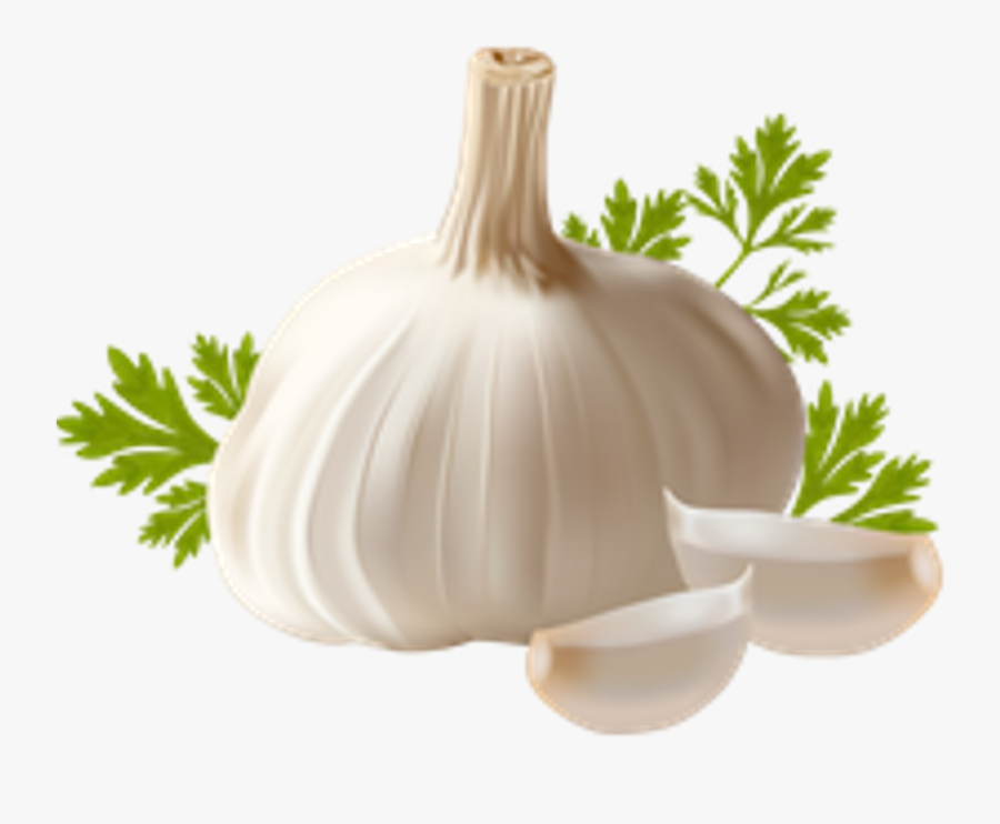 Ftestickers Sticker By Ani Chopurian - Clipart Garlic, Transparent Clipart