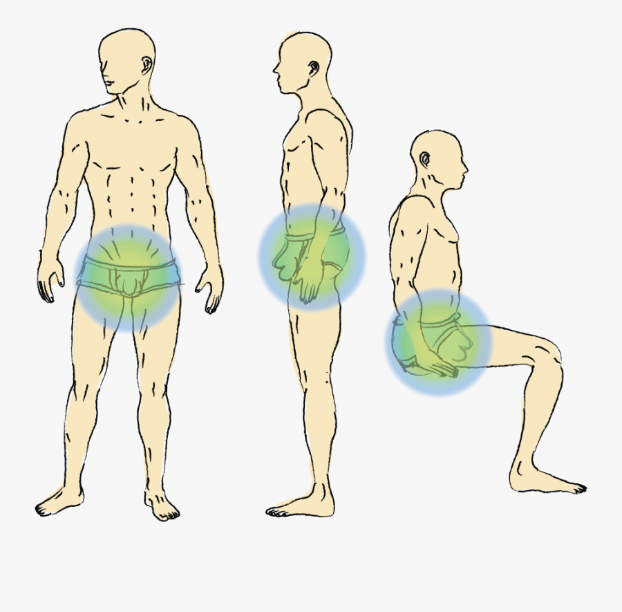 Clip Art Best Cooling And Testicles - Best Exercise For Testis, Transparent Clipart