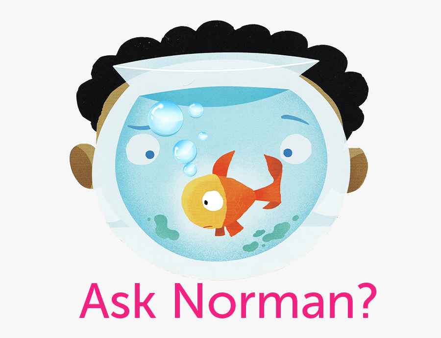 Ask Norman Small - Not Norman A Goldfish Story, Transparent Clipart