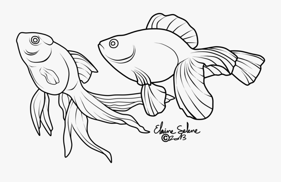 Gold Drawing At Getdrawings - Goldfish Lineart, Transparent Clipart