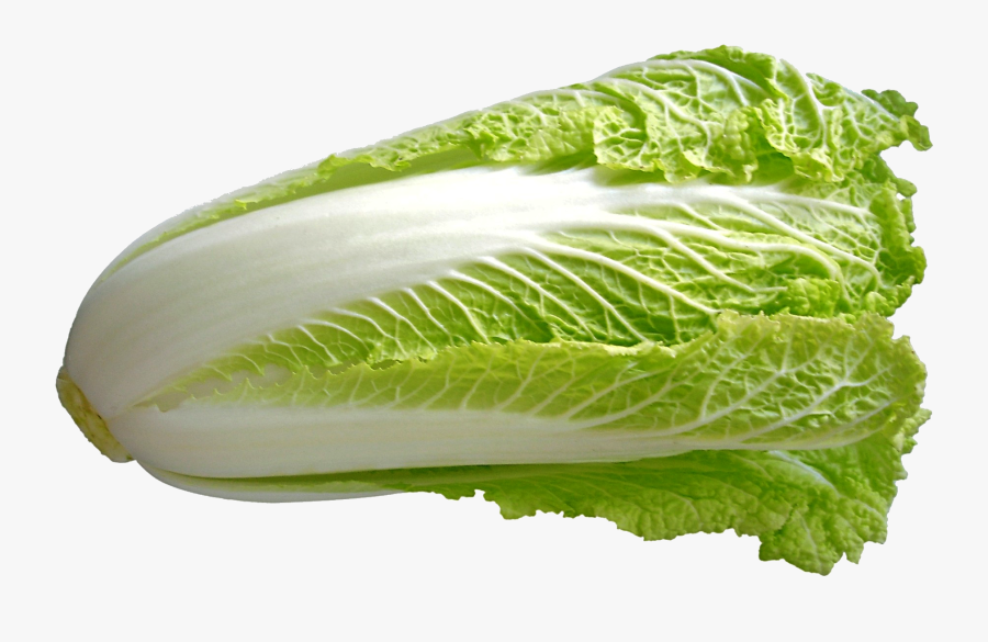 Chinese Cabbage, Transparent Clipart