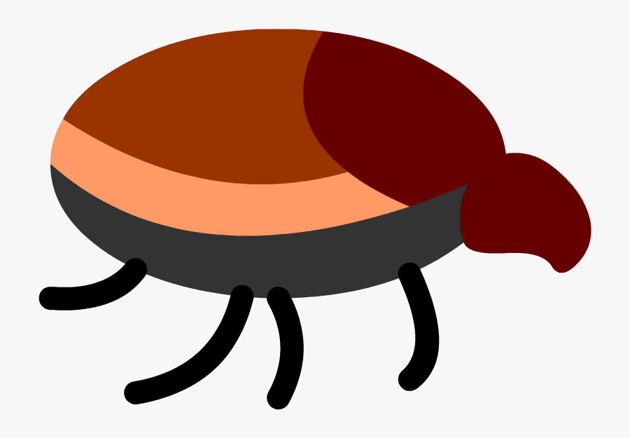 Weevil, Transparent Clipart