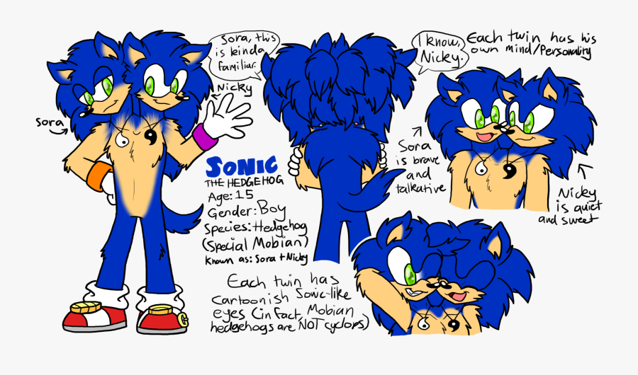 Sonic Ref Sheet, Transparent Clipart