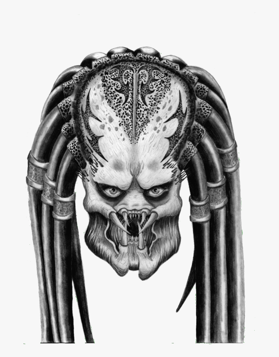 Predator Vector - Predator Drawing, Transparent Clipart
