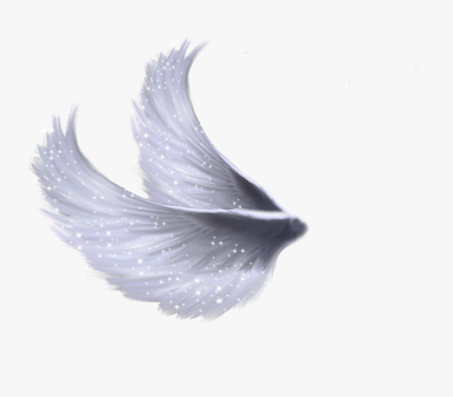 Wings Png 5 By Moonglowlilly - Transparent Background Wings Png Hd, Transparent Clipart