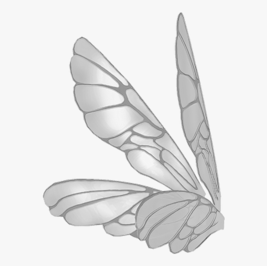 Wings Butterflywings Butterfly Fairy Fairywings - Side View Png Wings, Transparent Clipart