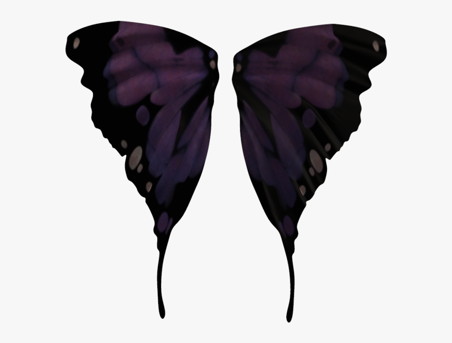 Transparent Realistic Fairy Wings Png - Black Transparent Png Wings, Transparent Clipart