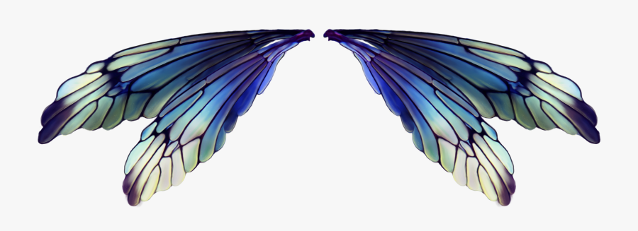 Fairy Wings Transparent Background , Png Download, Transparent Clipart
