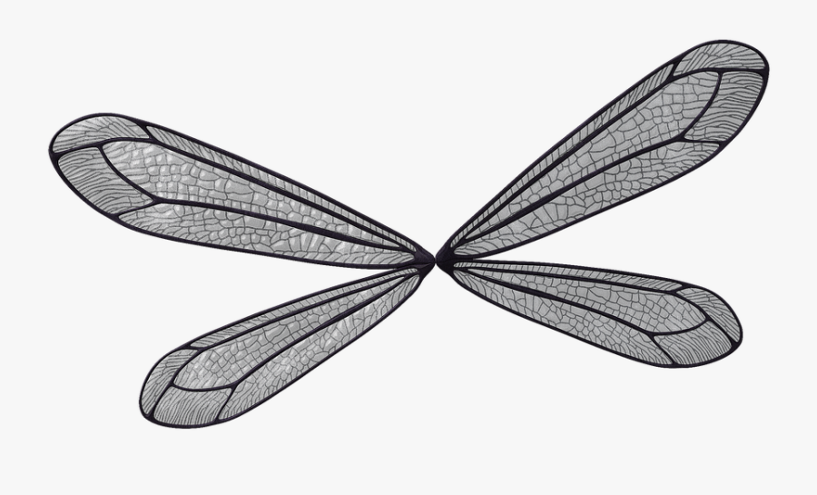 Wing, Elf, Fairy, Fae, Fantasy, Magic, Fairy Tales - Dragonfly, Transparent Clipart