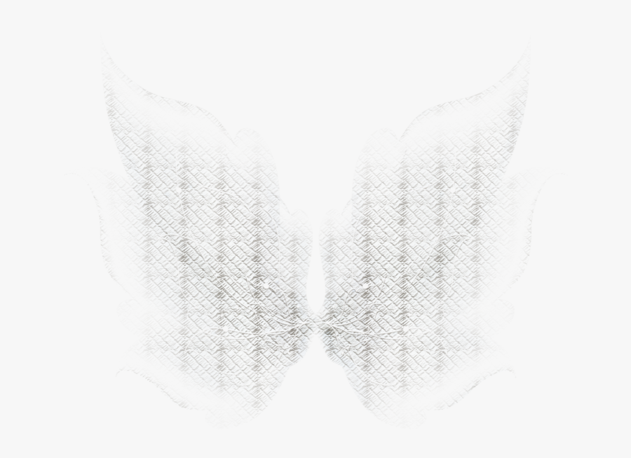 Fairy Wings Png Photo - Macro Photography, Transparent Clipart