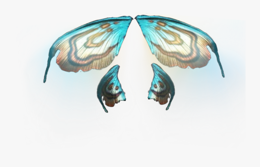 #fairy #wings #fantasy #fairies #wing - Papilio Machaon, Transparent Clipart