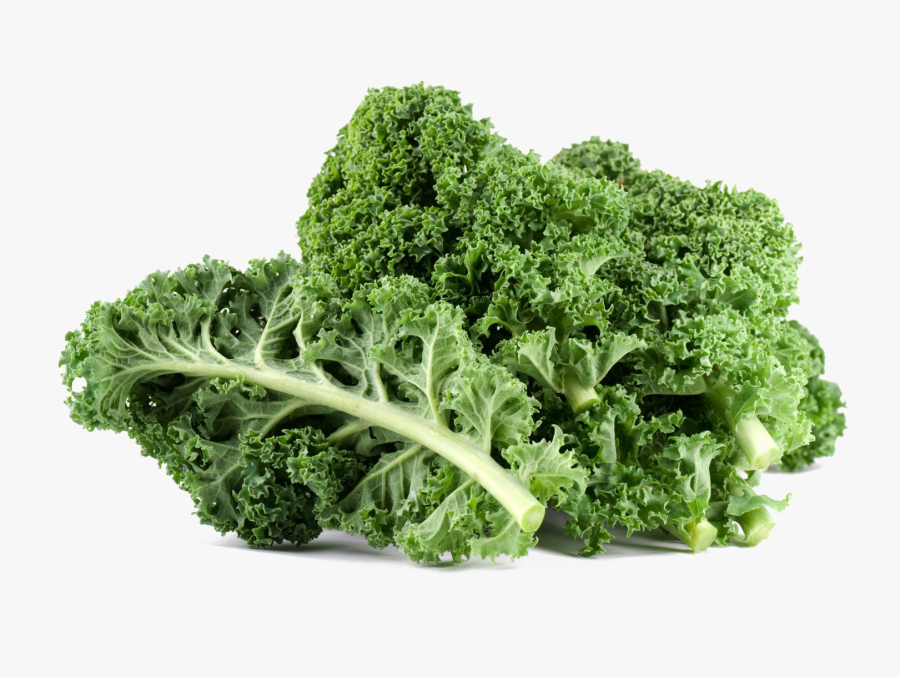 Kale Png File - Kale Leaves, Transparent Clipart
