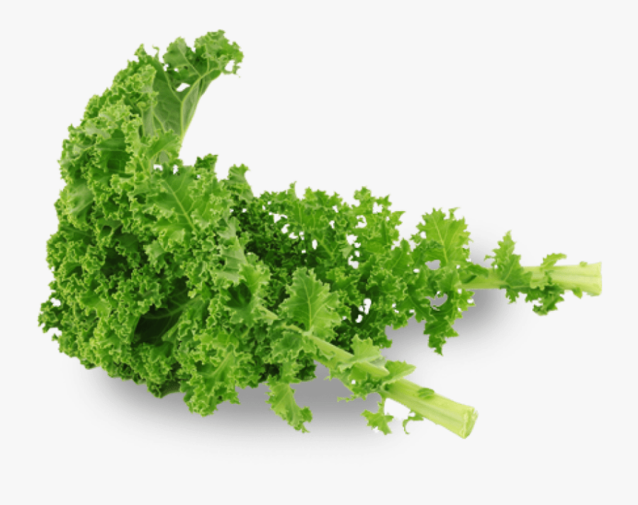 Free Png Kale Png Images Transparent - Kale Png Transparent, Transparent Clipart