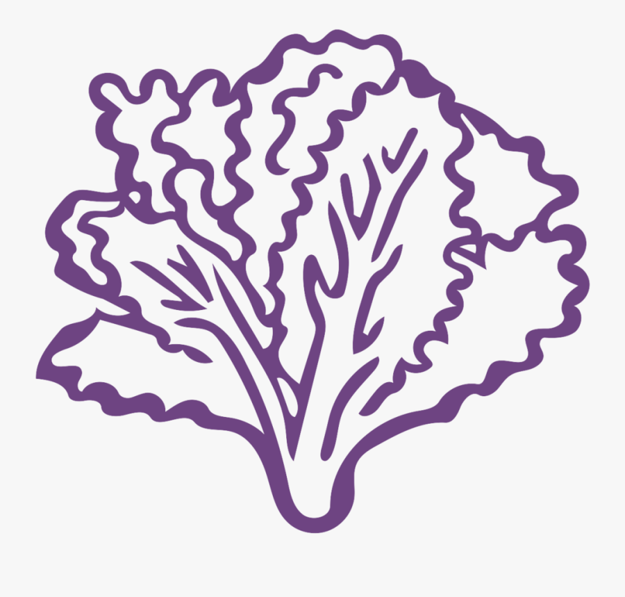 Noun Kale 1026519 6e4482 - Silueta De Lechuga Png, Transparent Clipart