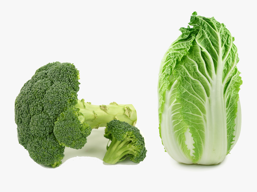 Transparent Kale Clipart - Fresh Napa Cabbage, Transparent Clipart