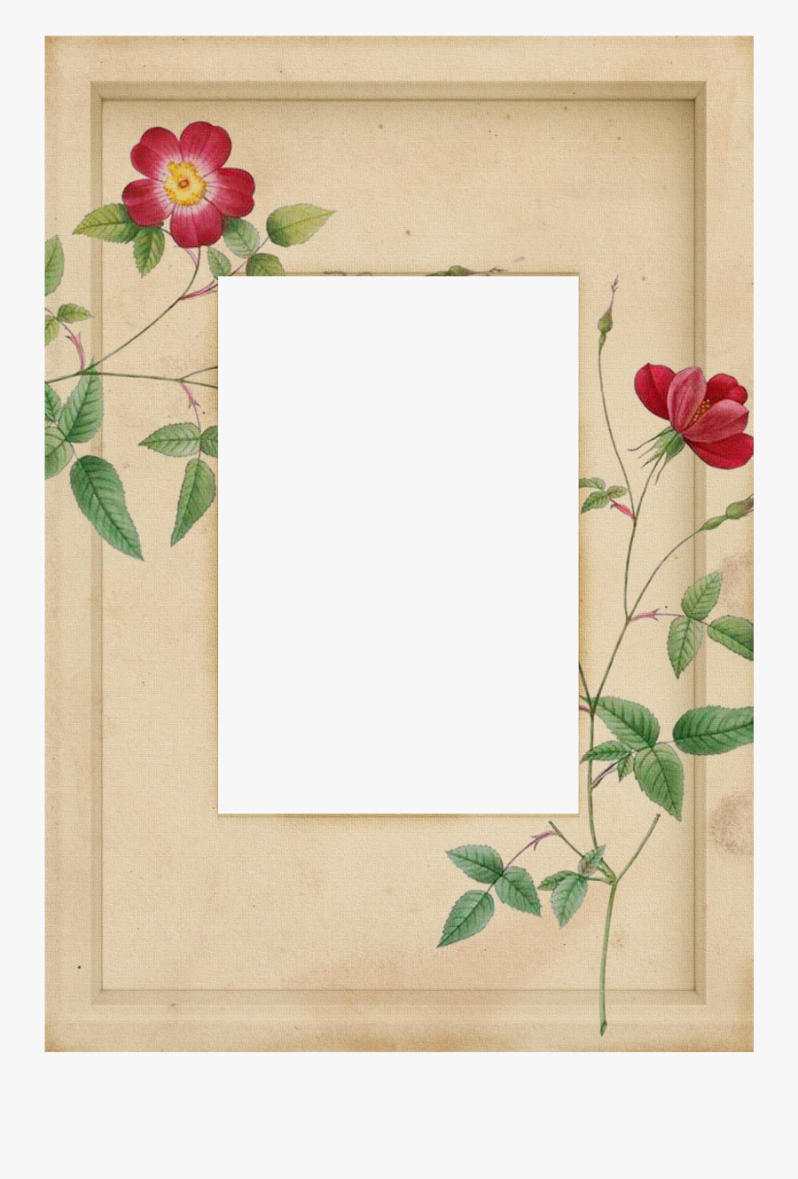 Pierre-joseph Redouté, Transparent Clipart