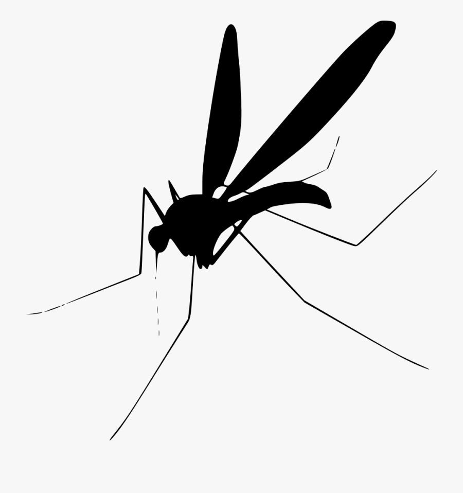 Transparent Background Mosquito Clip Art, Transparent Clipart
