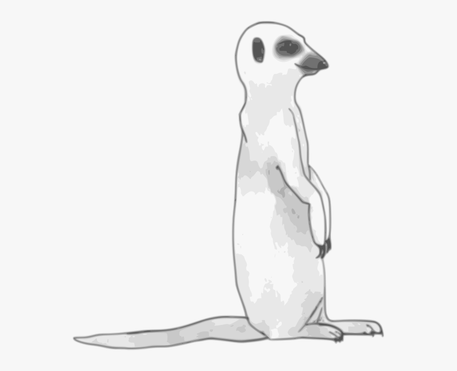 Meerkat - Meerkat Black And White, Transparent Clipart