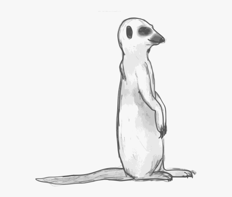 Meerkat Black And White, Transparent Clipart