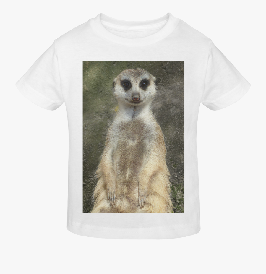 Meerkat, Transparent Clipart