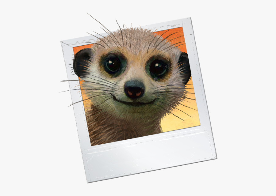 Vbs 2019 In The Wild Png, Transparent Clipart