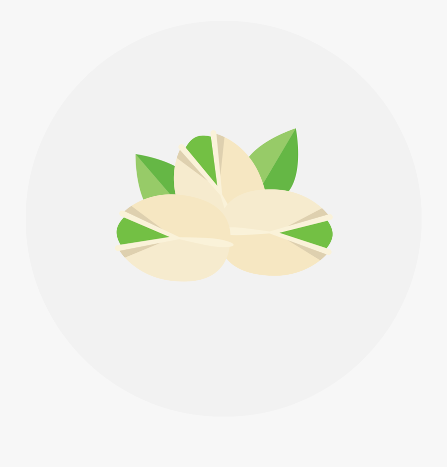 Circle, Transparent Clipart