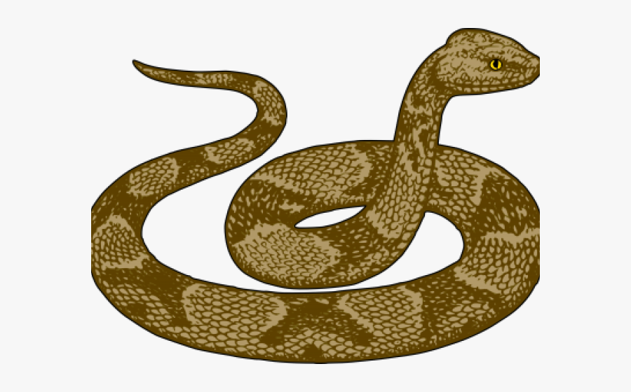 Snake Clipart, Transparent Clipart