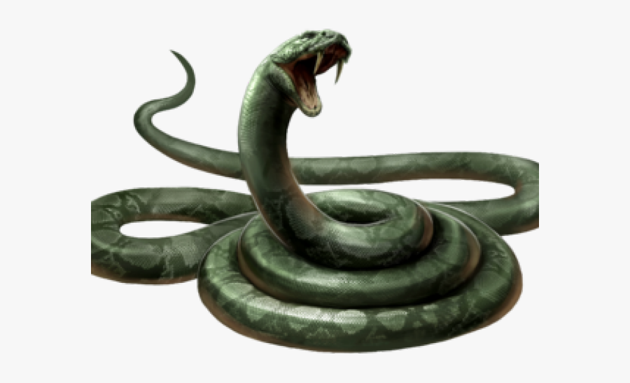 Voldemort's Snake, Transparent Clipart