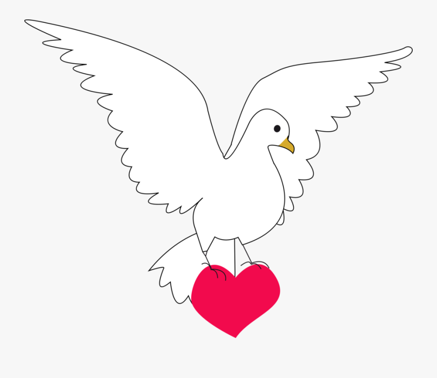 Colombe Peace End Love, Transparent Clipart