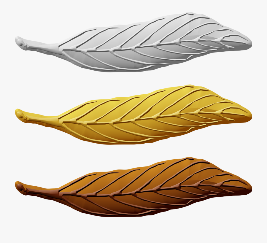 Bsa Eagle Palms, Transparent Clipart