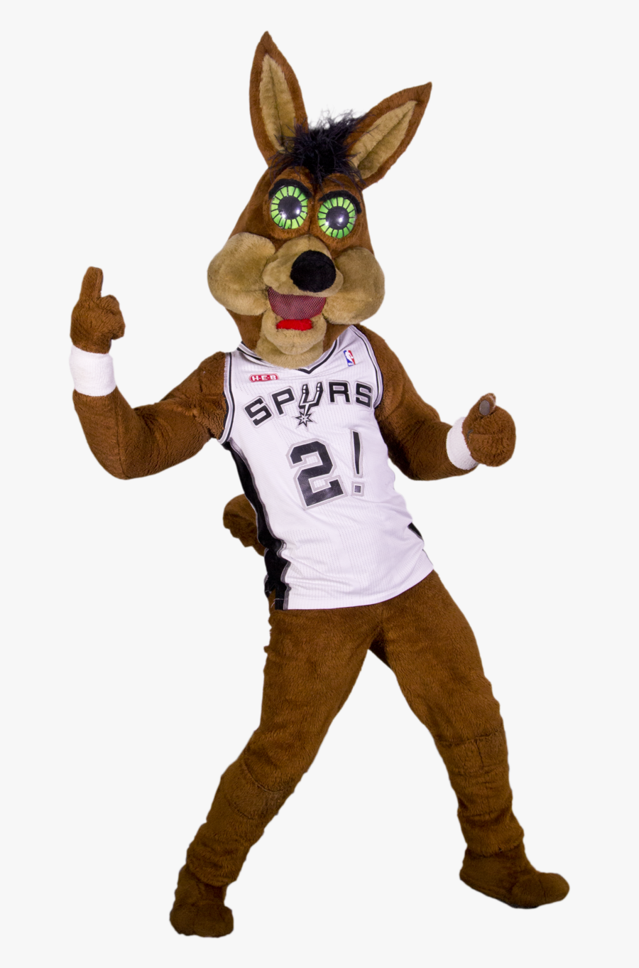 Coyote San Antonio Spurs Rh Nba Com Spurs Coyote Art - San Antonio Spurs, Transparent Clipart