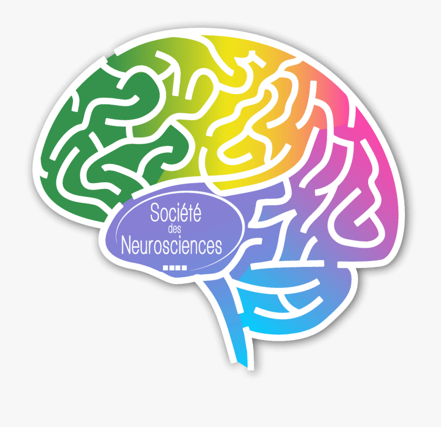 Semaine Du Cerveau 2019, Transparent Clipart