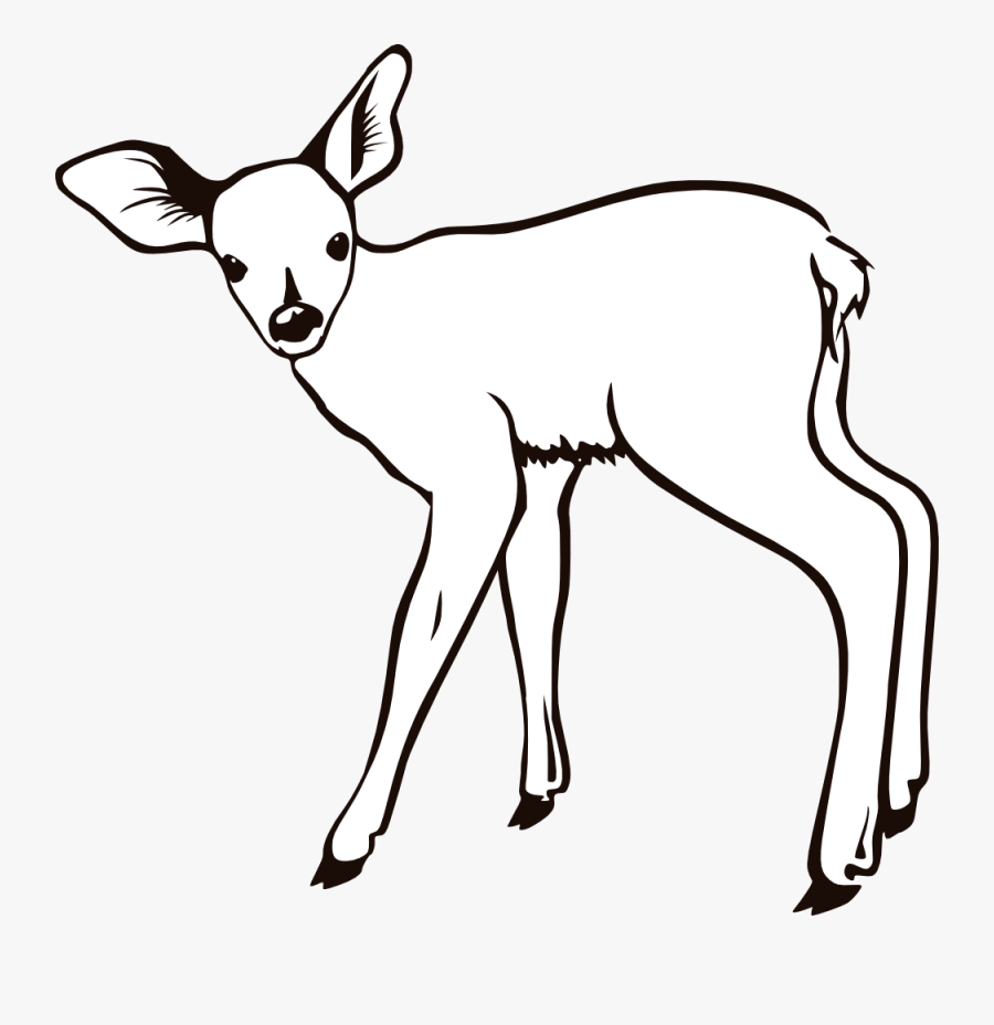 Fawn Black And White Clipart, Transparent Clipart